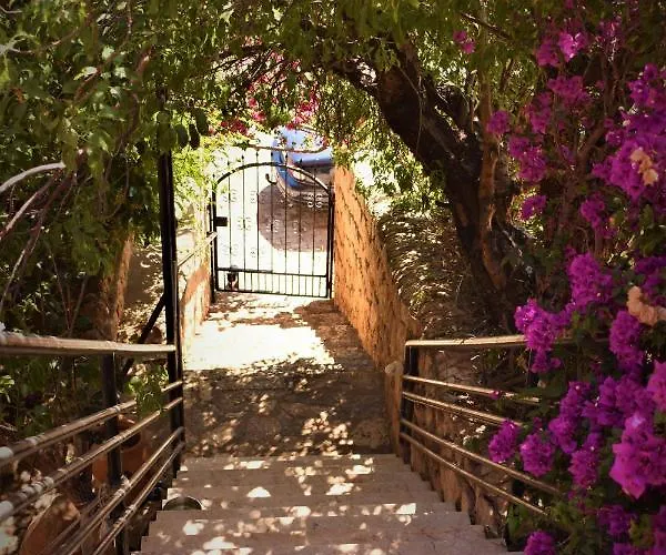 Apartment Manzara Kas